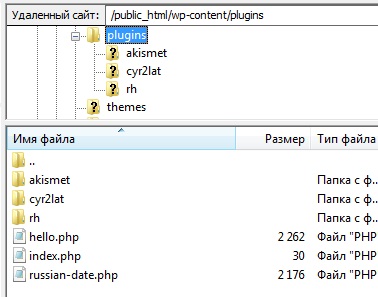 Директория wp-content/plugins/