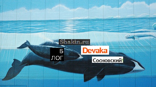Блогу Kaksozdatsvojblog.com исполнился 1 Год!!!!