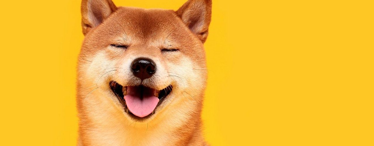 Як купити Shiba Inu (SHIB) в Україні